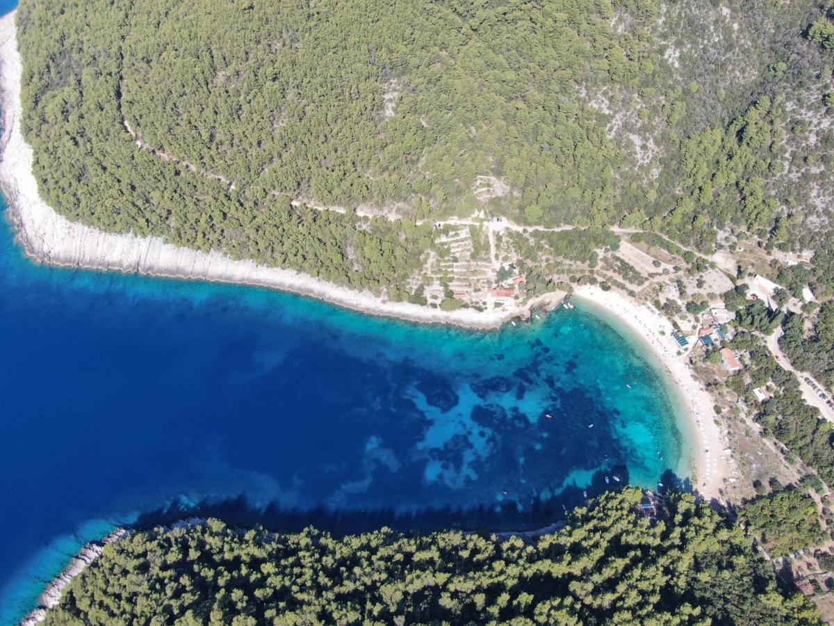 Korcula Holiday Zrnovo Экстерьер фото